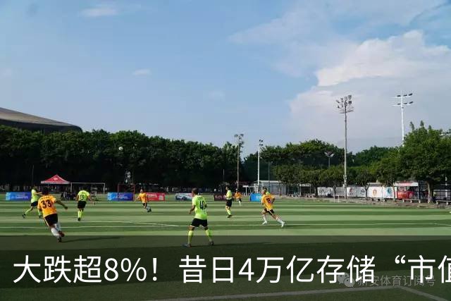 大跌超8%！昔日4万亿存储“市值一哥”，两个月市值蒸发1.3万亿，还会跌吗？